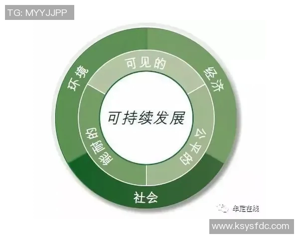 足协改革新举措:推动中国足球全面提升与可持续发展战略